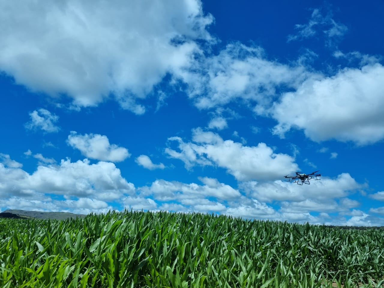 CCR Agritech